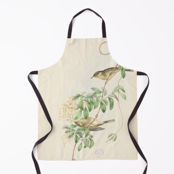 Item preview, Fuscous honeyeater illustration designed and sold by State Library of South Australia.
