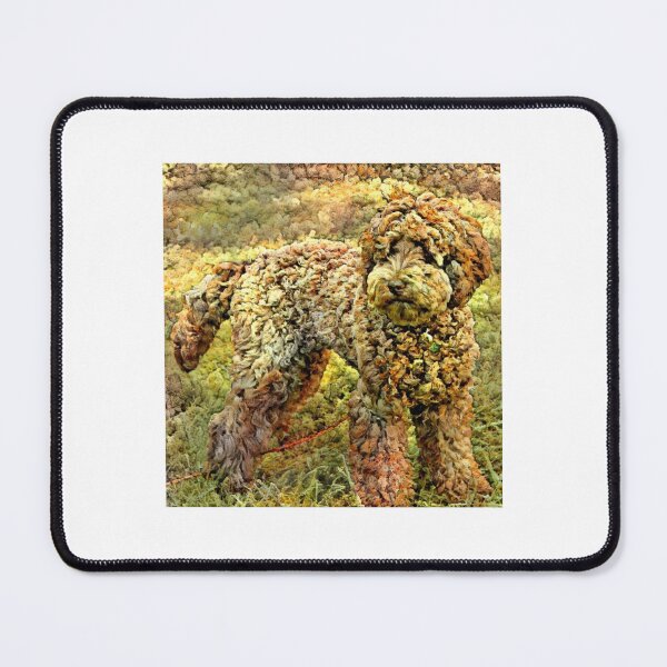 Item preview, Australian Labradoodle X Strains designed and sold by Cannabanimals.