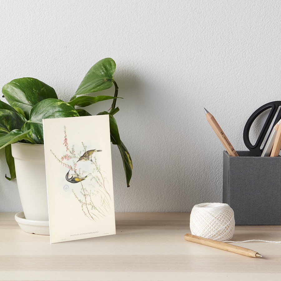 Item preview, Art Board Print designed and sold by StateLibrarySA.