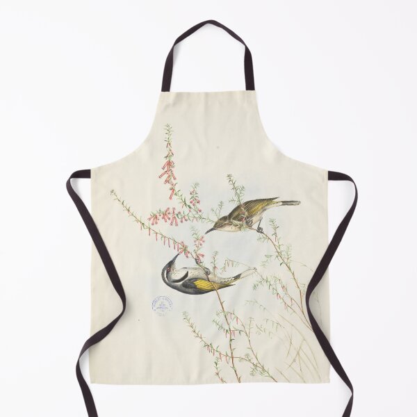 Item preview, Cresent honeyeater designed and sold by State Library of South Australia.