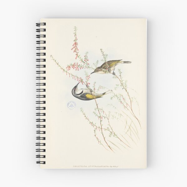 Item preview, Cresent honeyeater designed and sold by State Library of South Australia.