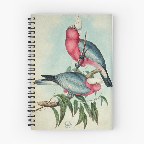 Item preview, Pink and grey Galah illustration designed and sold by State Library of South Australia.