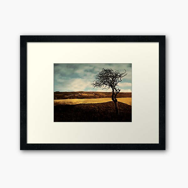 Moissonnerie . Framed Art Print