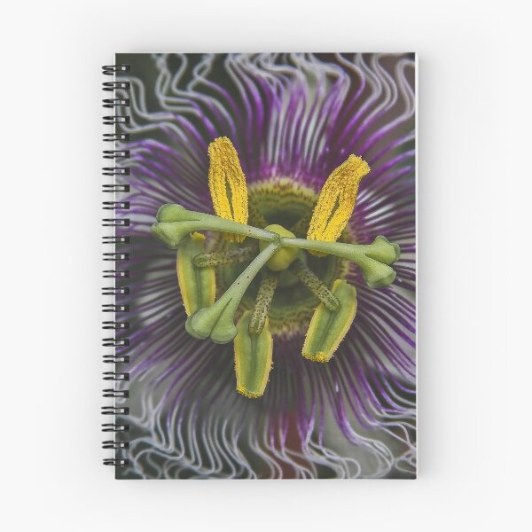 Item preview, Passionate! designed and sold by heatherfriedman.
