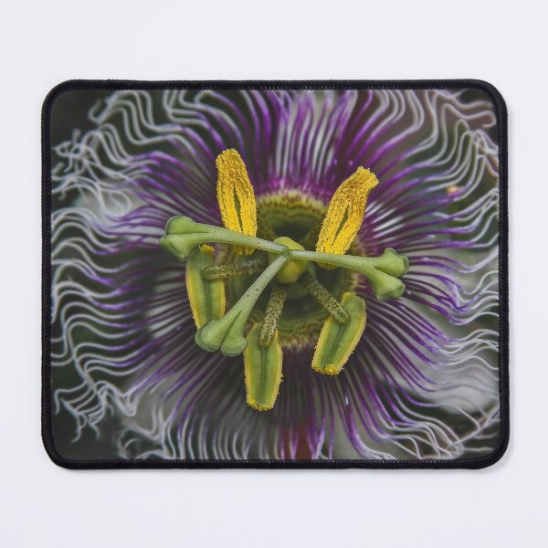 Item preview, Passionate! designed and sold by heatherfriedman.