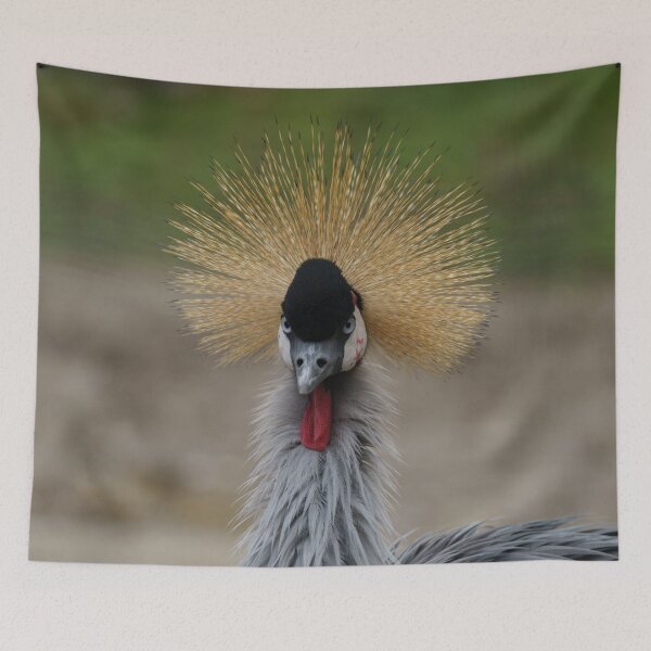 Item preview, Grey crowned crane designed and sold by rawshutterbug.