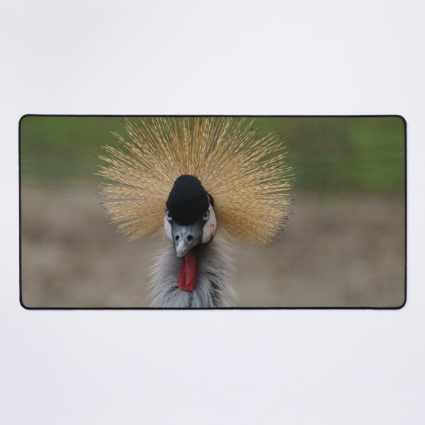 Item preview, Grey crowned crane designed and sold by rawshutterbug.