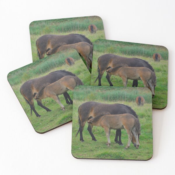 Item preview, Foal drinks with mother designed and sold by Vanja Rosenthal.