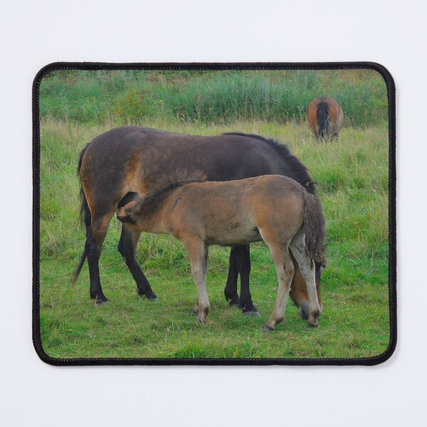 Item preview, Foal drinks with mother designed and sold by Vanja Rosenthal.