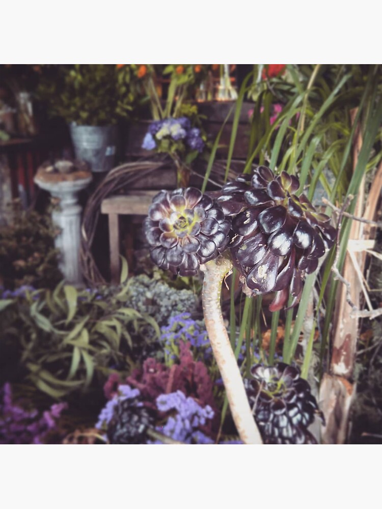 "Flower X" Sticker for Sale by veronikagred Redbubble