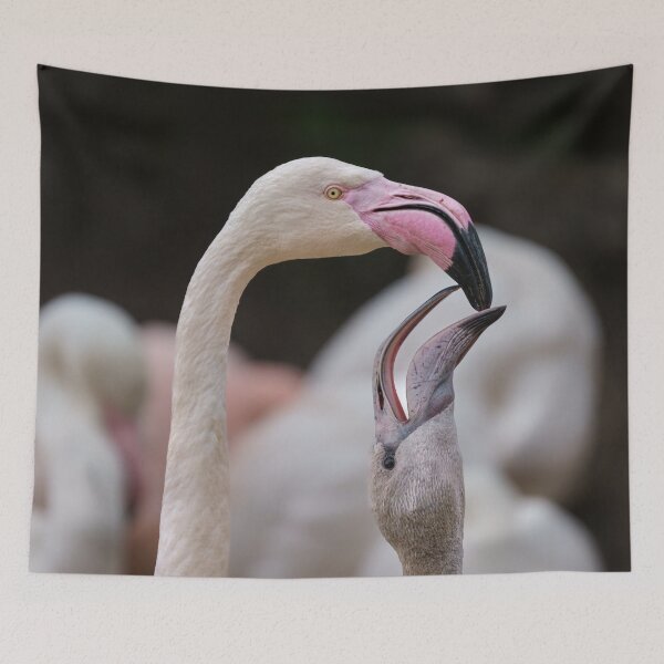 Item preview, Flamingo madre y bebé designed and sold by rawshutterbug.