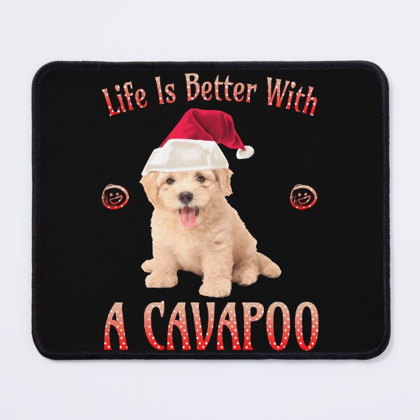 Item preview, Life is Better with a Cavapoo     designed and sold by TeeSpillstore.