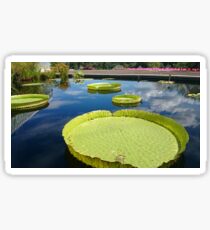 Zen Garden Sticker