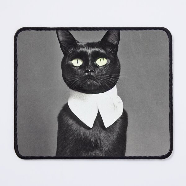 Item preview, Dignified Black Cat Old Puritan Timey Photograph designed and sold by SubtleSplit.