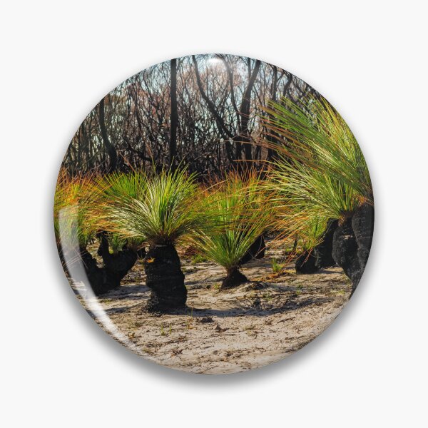 Item preview, First stages of recovery  designed and sold by Rainphotography.