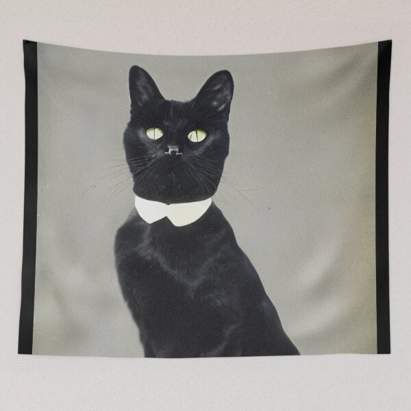 Item preview, Dignified Black Cat Butler Photograph designed and sold by SubtleSplit.
