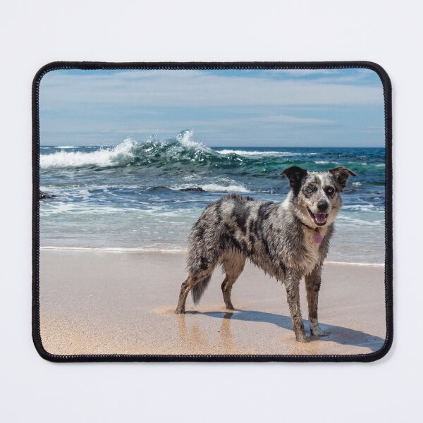 Item preview, Elkie at the beach designed and sold by Rainphotography.