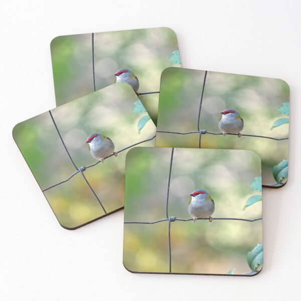 Item preview, ©  Red-browed finch designed and sold by GeoPipics.