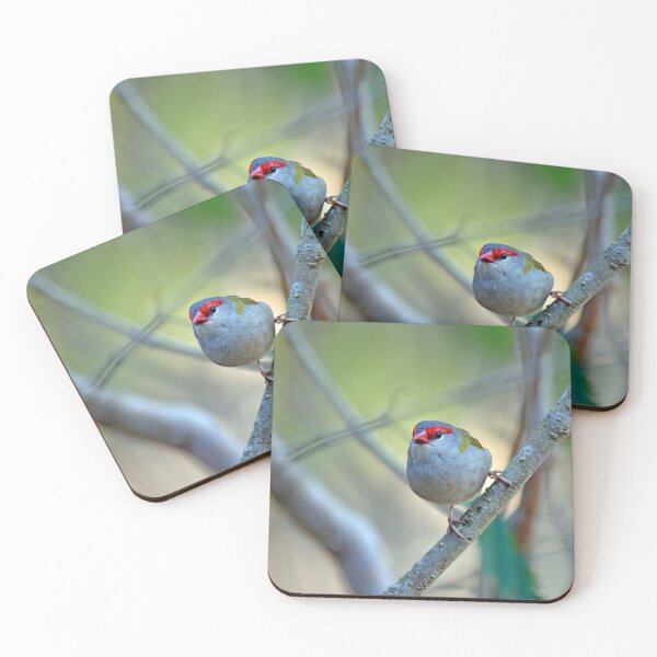 Item preview, © Red-browed finch designed and sold by GeoPipics.