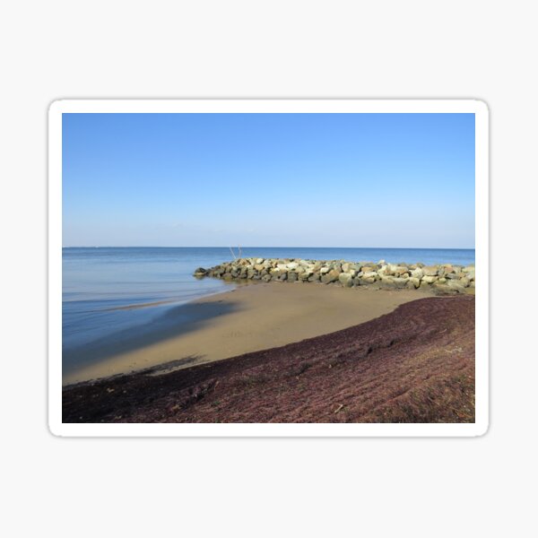 Item preview, Covered Beach designed and sold by Tonia Delozier's Photography .