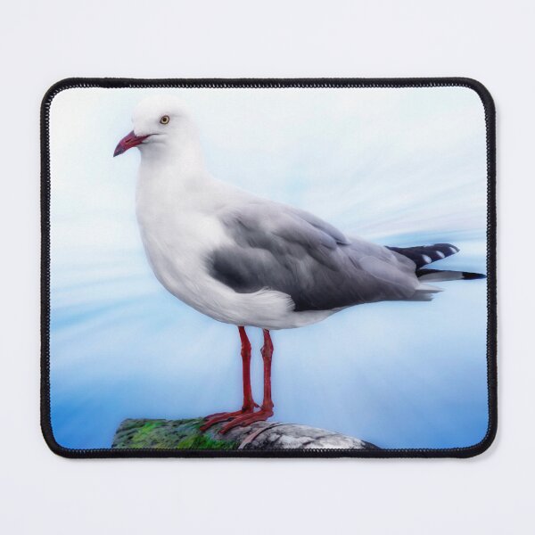 Item preview, The Seagull designed and sold by Rainphotography.