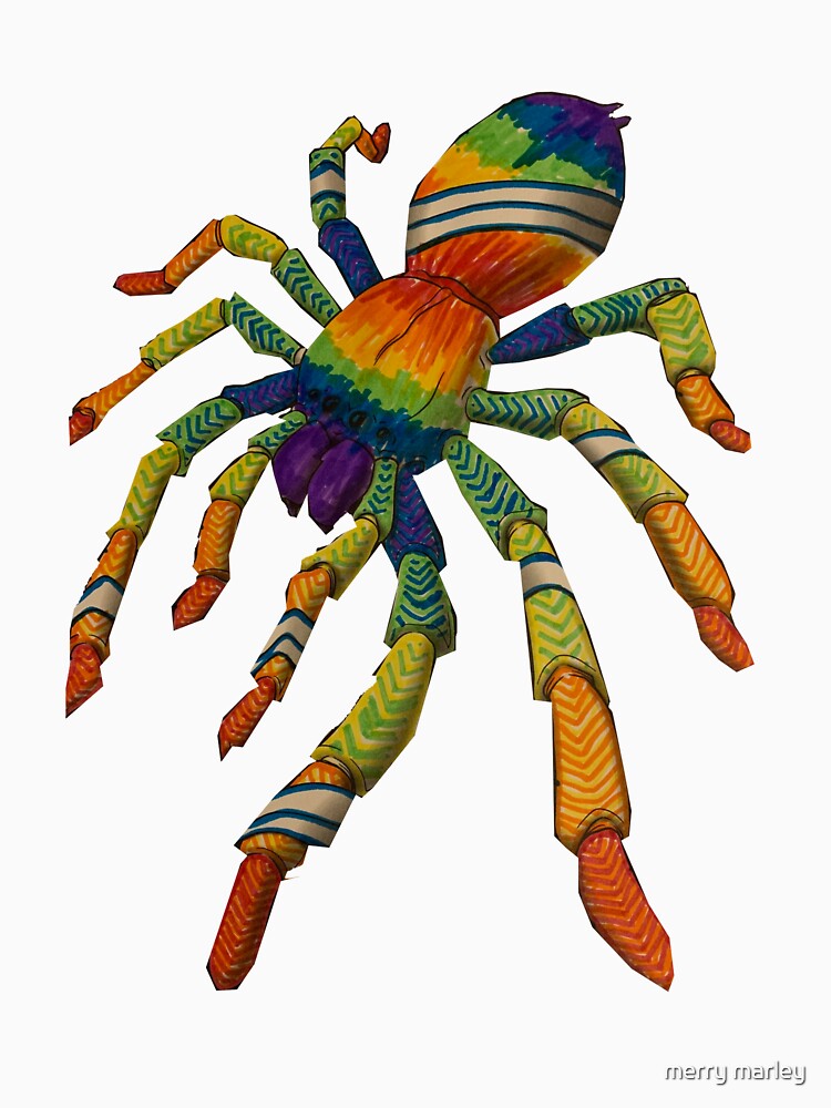 bunte Spinne