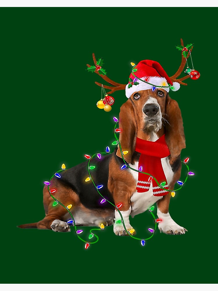 Family basset hot sale hound