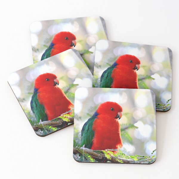 Item preview, ©  King parrot designed and sold by GeoPipics.