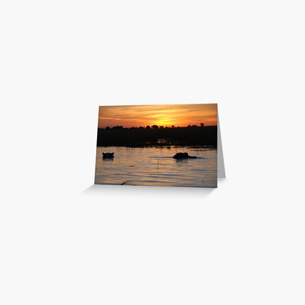 Vista previa del artículo con la obra «Hipopótamos al atardecer, Parque Nacional de Chobe, Botswana», diseñado y vendido por Adrian Paul.