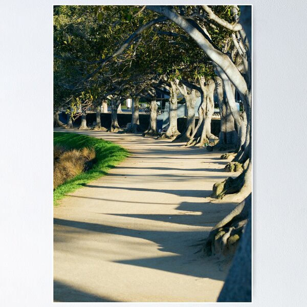 Item preview, Yarra Path - Melbourne - Australia designed and sold by Frank Moroni.