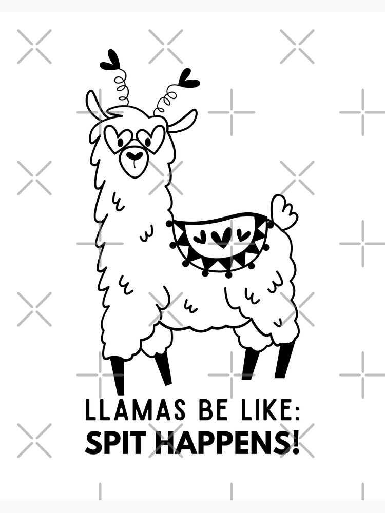 Why do llamas spit?