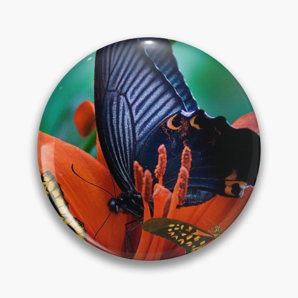 Item preview, Butterfly, nature,valve,animal,wildlife designed and sold by Lessonsprint.