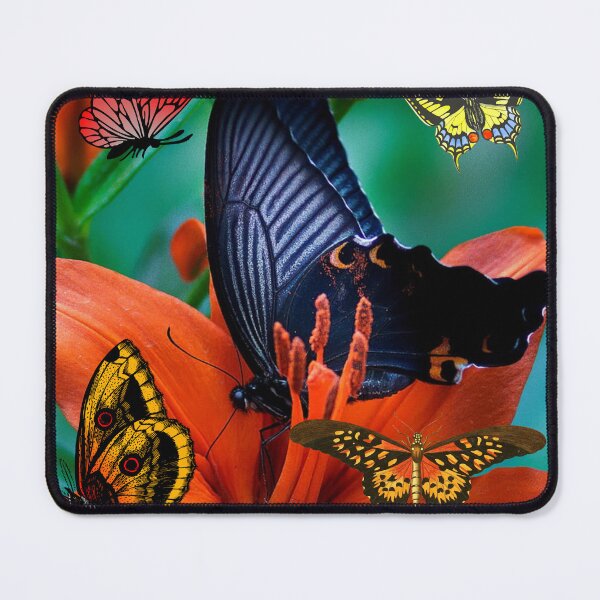 Item preview, Butterfly, nature,valve,animal,wildlife designed and sold by Lessonsprint.