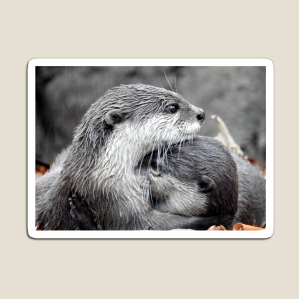 Time for a hug Magnet