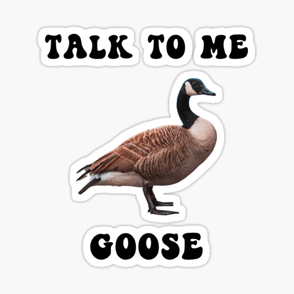 Talk to me Goose – Bling Your Band