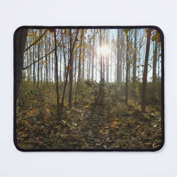 Item preview, Forest sunlight designed and sold by Milutin-Design.