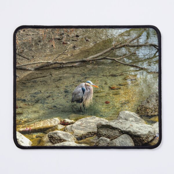 Item preview, Blue Heron Shelter in Creek Bed designed and sold by ShorelineImages.
