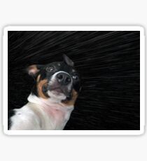 Zoomin' Sticker
