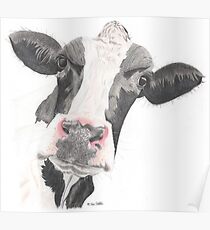Cow Poster