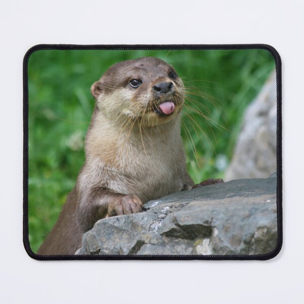 Artikelvorschau, Frecher Otter entworfen und verkauft von Jellycandy.