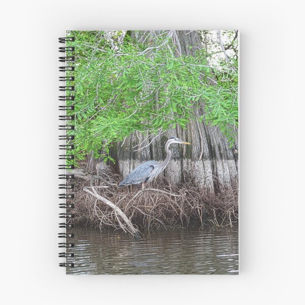 Item preview, Great Blue Heron and Bald Cypress Tree designed and sold by ShorelineImages.