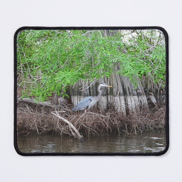 Item preview, Great Blue Heron and Bald Cypress Tree designed and sold by ShorelineImages.