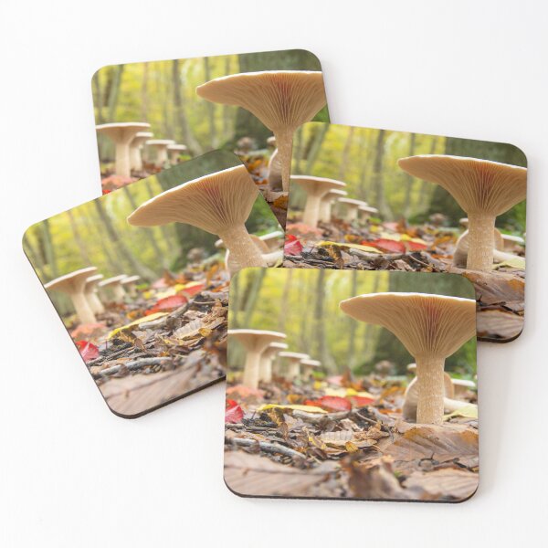 Item preview, Stools for Toads designed and sold by Roy K Hills.