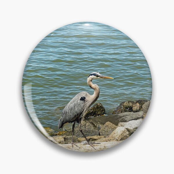 Item preview, Great Blue Heron on Driftwood  designed and sold by ShorelineImages.