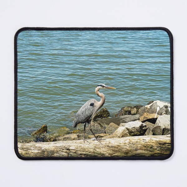 Item preview, Great Blue Heron on Driftwood  designed and sold by ShorelineImages.