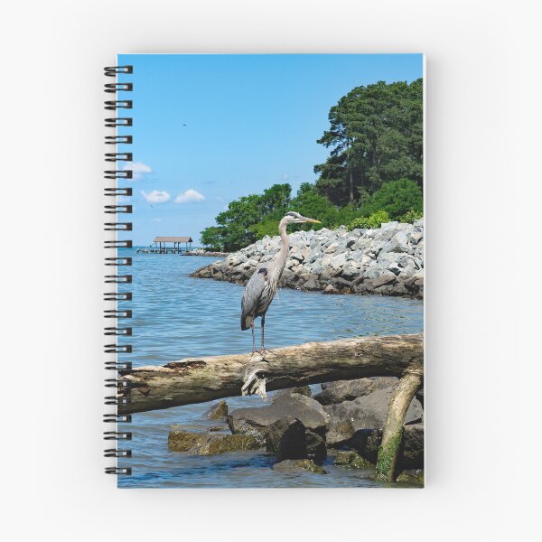 Item preview, Great Blue Heron and View of James River designed and sold by ShorelineImages.