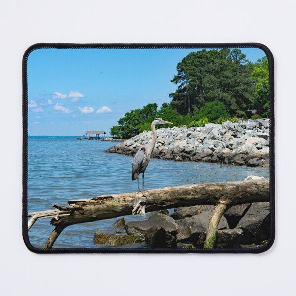 Item preview, Great Blue Heron and View of James River designed and sold by ShorelineImages.