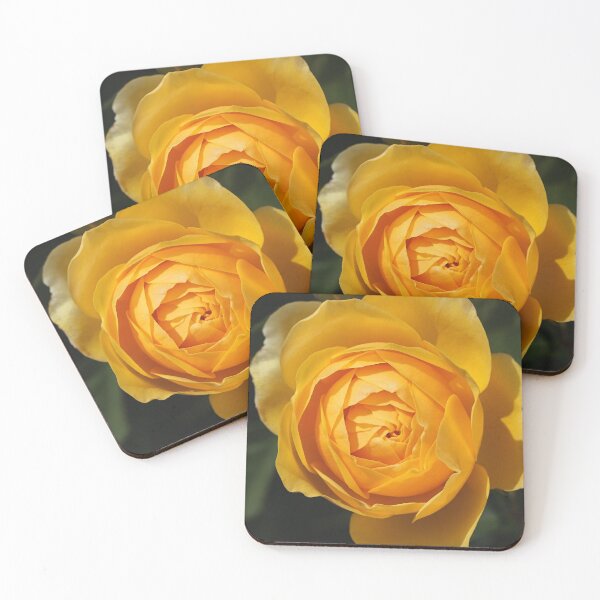 Item preview, Golden Rich Beautiful Rose designed and sold by Joy Watson - Natural Light Photography .