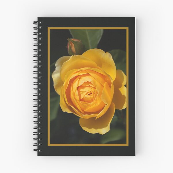 Item preview, Golden Rich Beautiful Rose designed and sold by Joy Watson - Natural Light Photography .