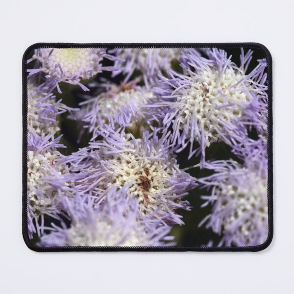 Item preview, Purple Anemone designed and sold by Kate Harrison.
